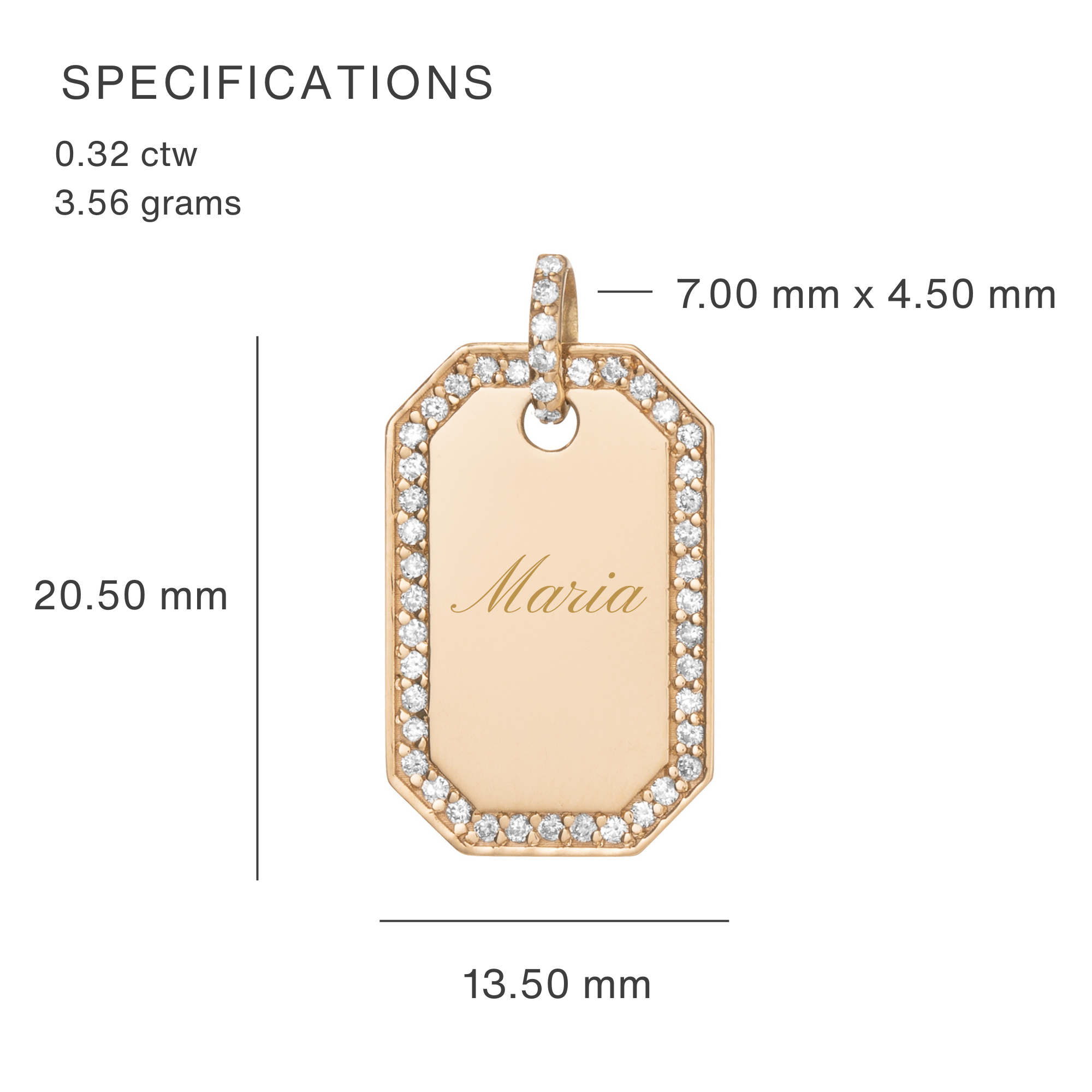 14K Lab Diamond Outlined Dog Tag