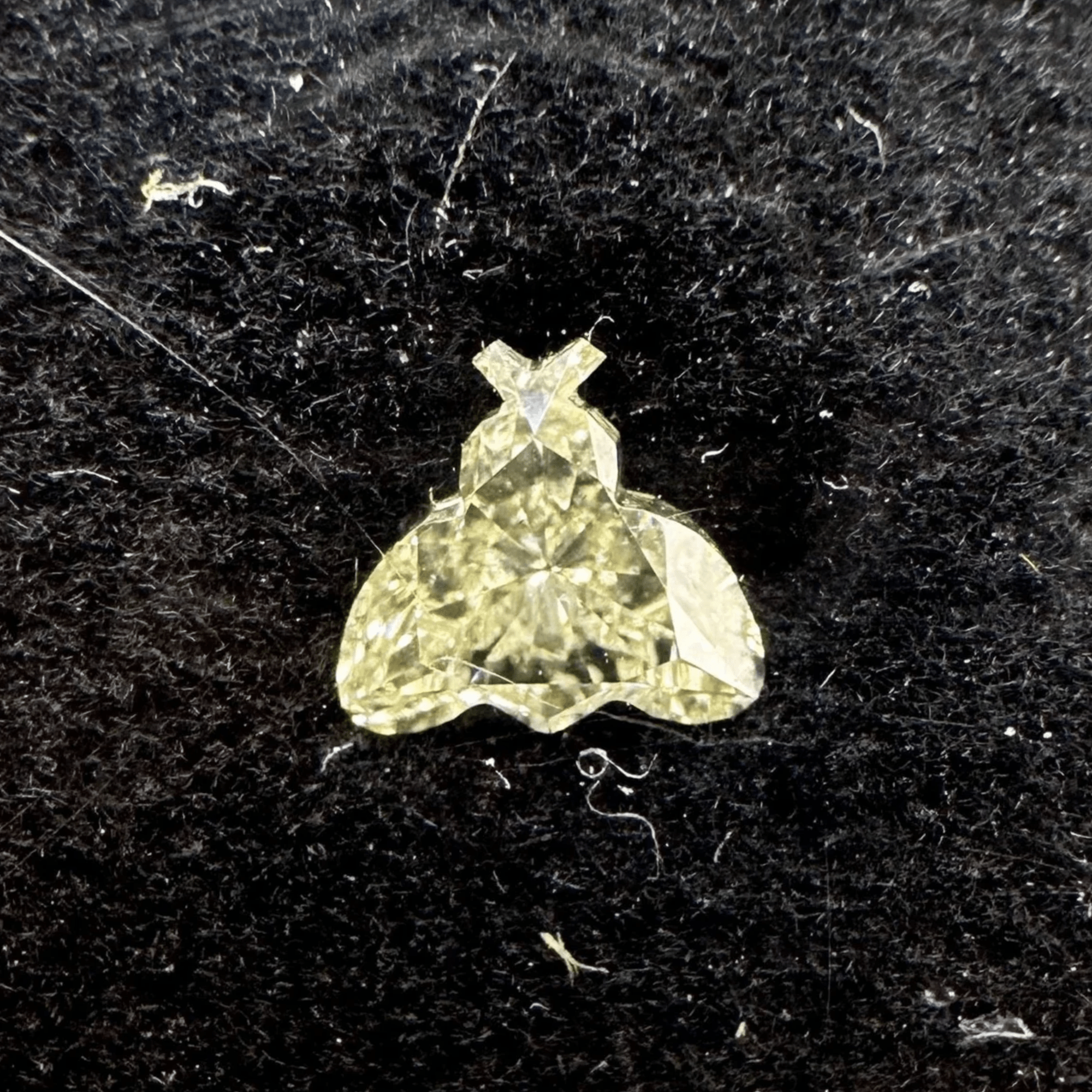 Bee Shaped Diamond - Nolita