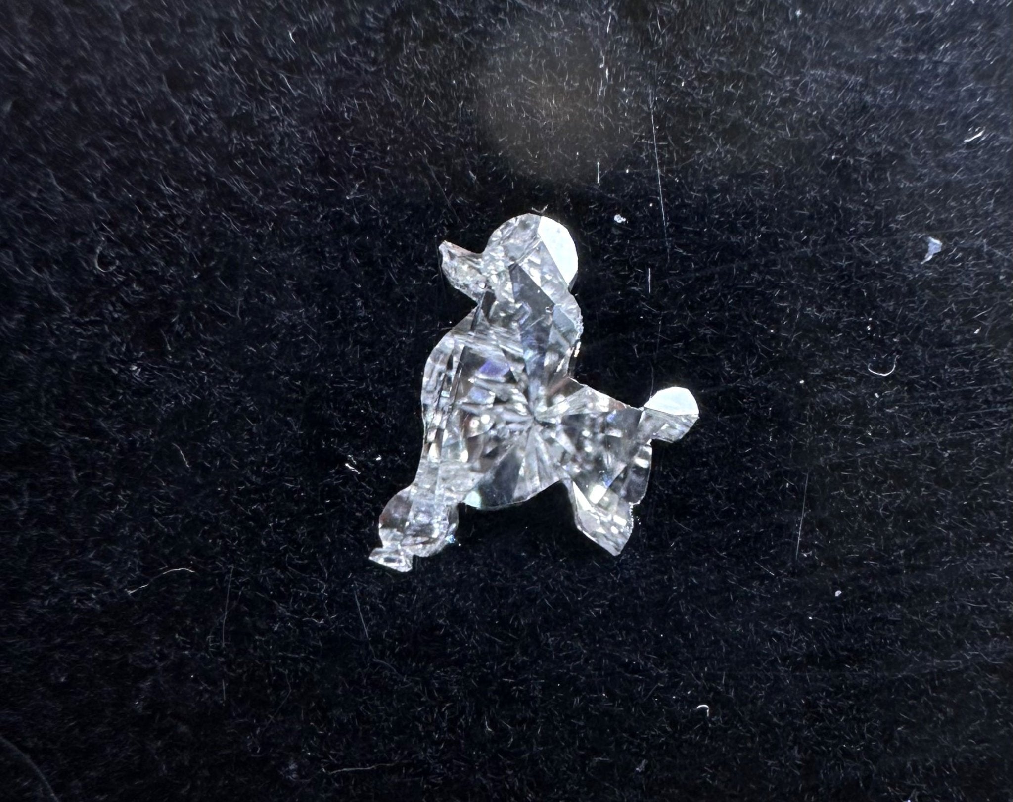 Dog Shaped Diamond - Nolita