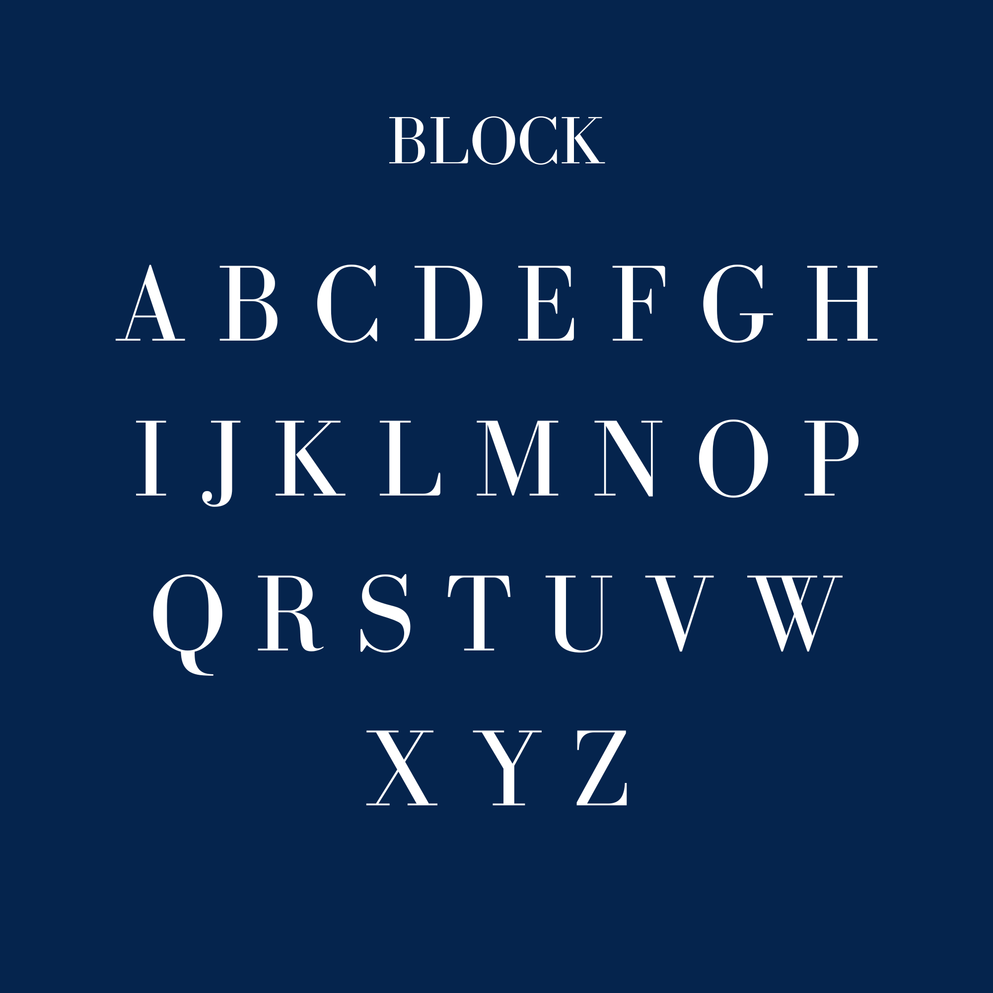 14K Diamond Outlined Dog Tag - Nolita