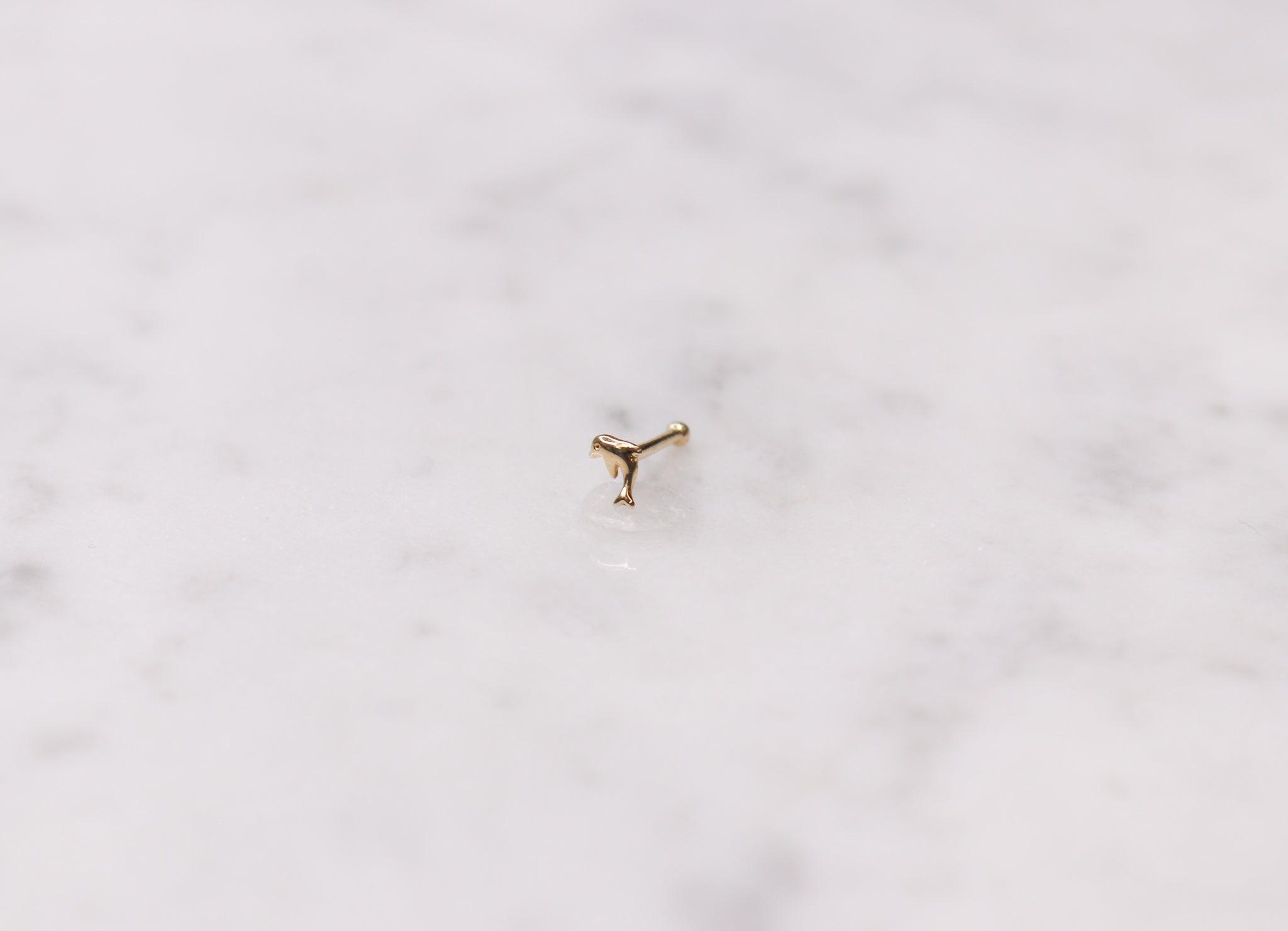 14K Dolphin Nose Stud - Nolita