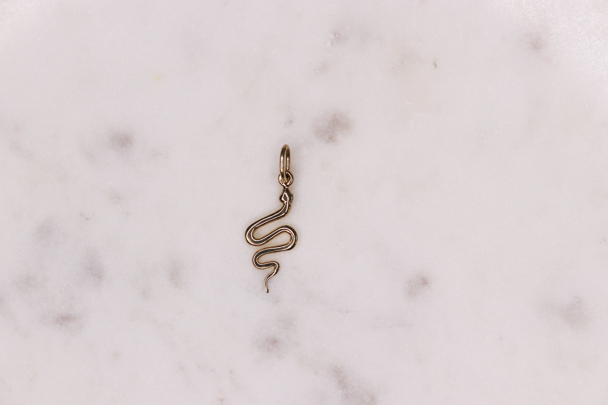 14K Snake Charm - Nolita