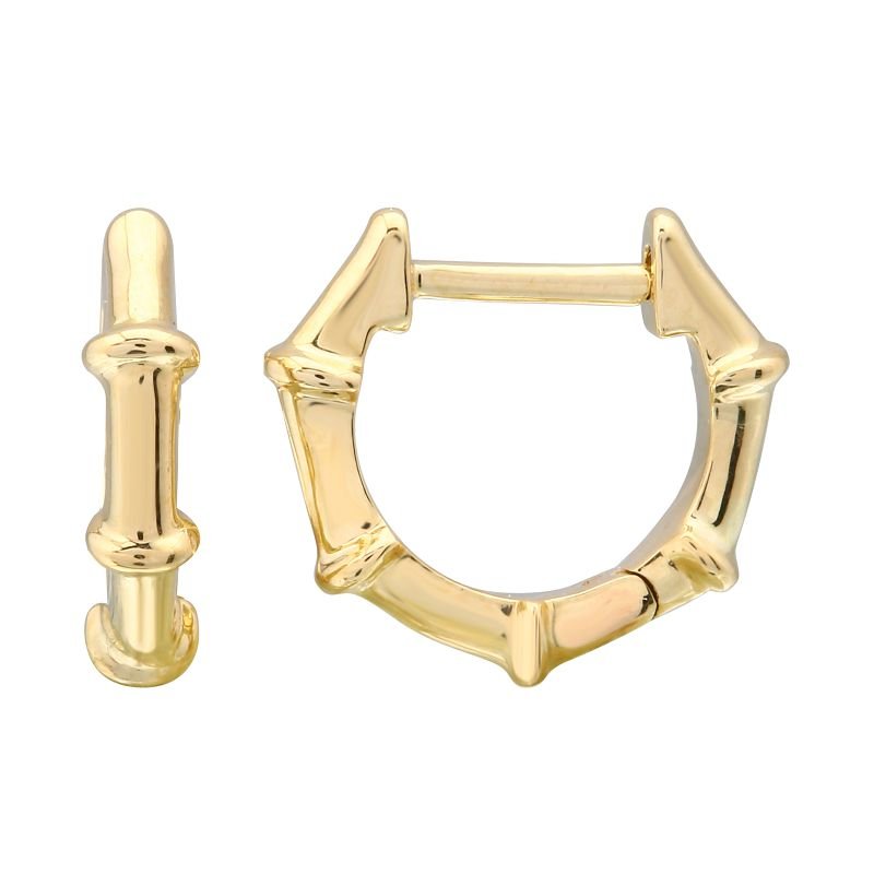 14K Yellow Gold Bamboo Earrings - Nolita