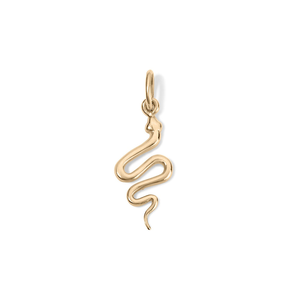 14K Snake Charm