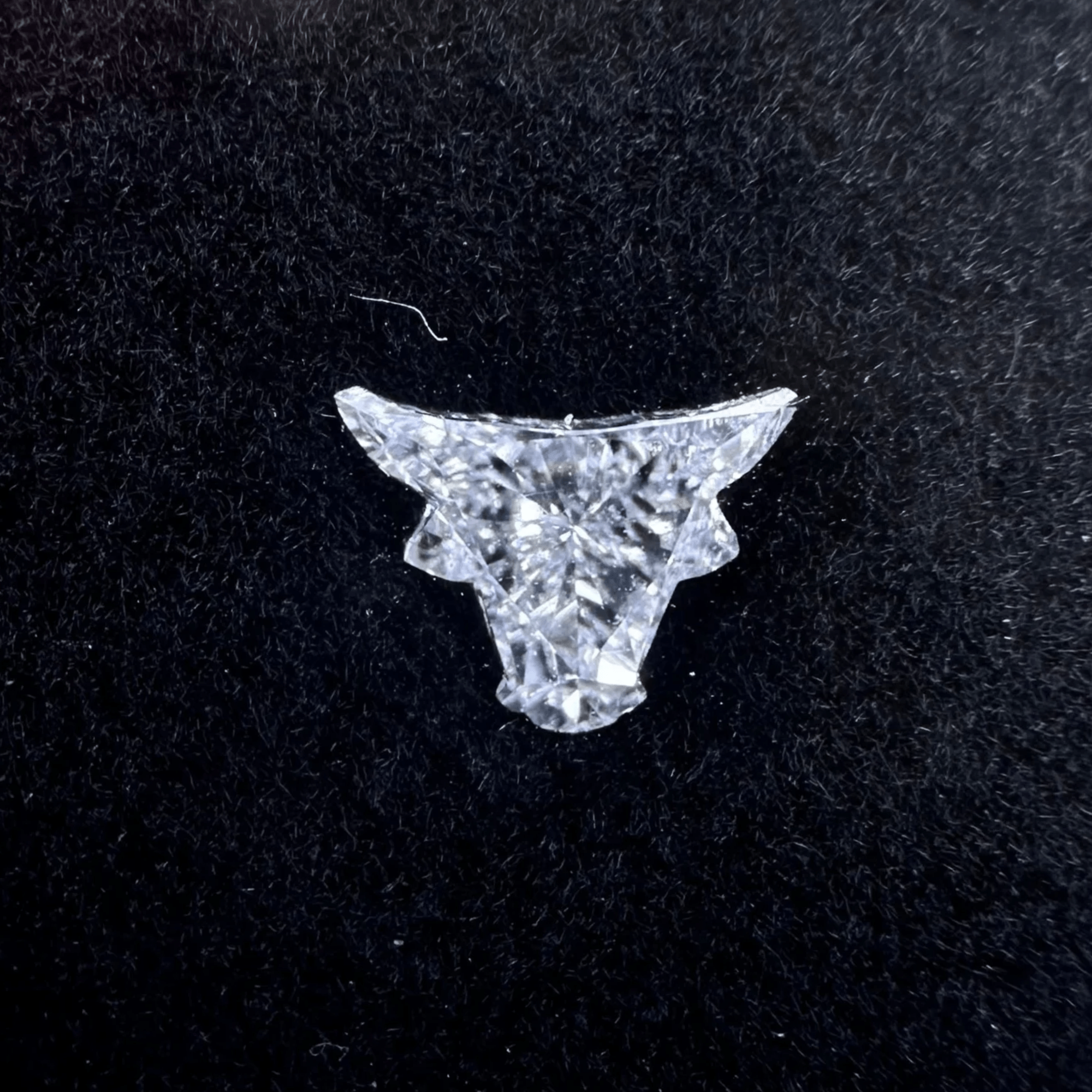 Bull Shaped Diamond - Nolita