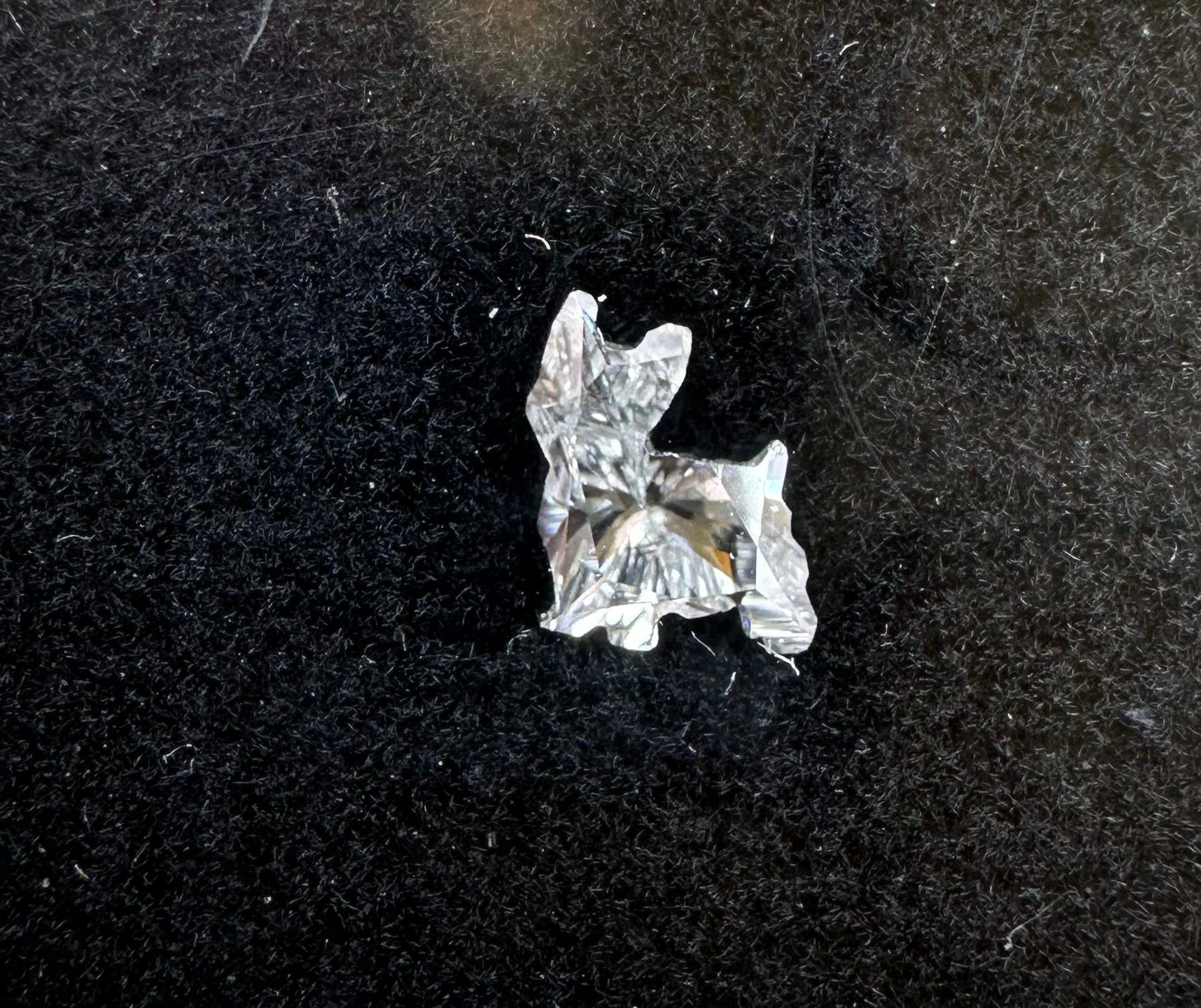 Dog Shaped Diamond - Nolita