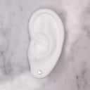 14K Gold Heart Studs - Nolita